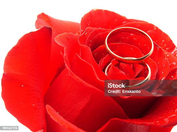 Rose E Anéis - Fotografias de stock e mais imagens de Anel - Joia - Anel - Joia, Beleza, Bouquet