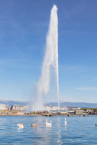 Panoramic view of Geneva skyline with famous Jet d'Eau fountain and boats at harbor district Geneva, Switzerland. Copy space