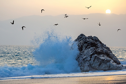 Sea wave beats on the rock against the sunset. silhouettes of a flock of flying birds