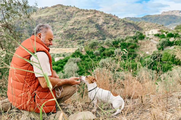 istock Mature gray haired man spending time outdoors with his small cute Jack Russell Terrier in mountain nature. 1804724782