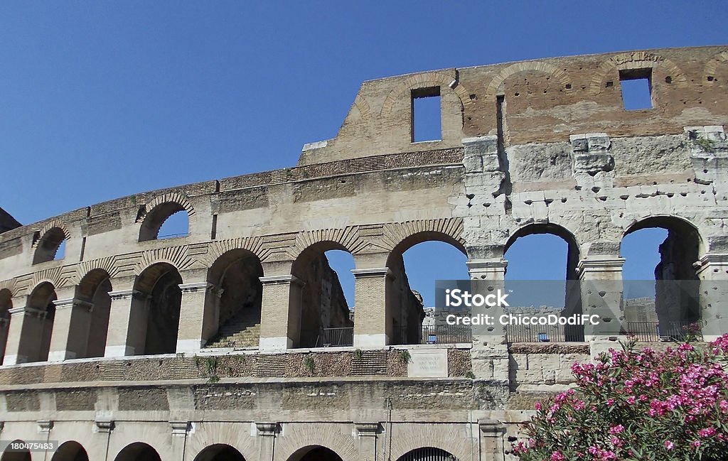 Arches du Colisée parmi les plantes - Photo de Amphithéâtre libre de droits