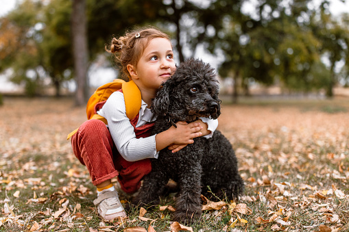 Portrait of a cute little 3 years old girl with her poodle dog. Little girl hugging her dog while standing in a colorful autumn public park.
