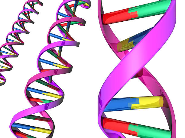 istock Illustration of DNA double helix 180481741