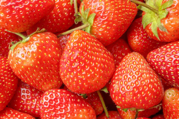 istock Fresh organic red strawberry fruit background 1804852577