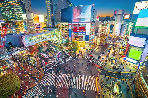 Top view of Shibuya Crossing at twilight in Tokyo, Japan