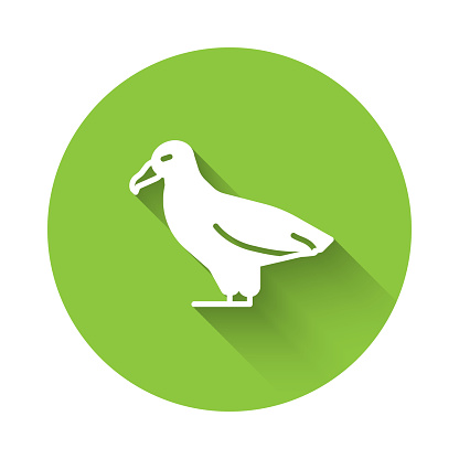 White Albatross icon isolated with long shadow background. Green circle button. Vector