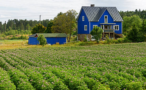 Rural landscape