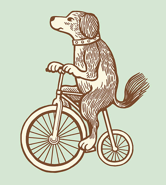 dog riding a bike - cycling old fashioned retro revival bicycle stock illustrations