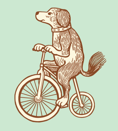Dog Riding a Bike