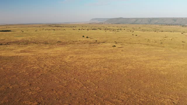 Masai Mara Aerial drone shot of Africa Landscape Scenery from Above, Wide Open Savanna, Vast Plains and Endless Open Grassland, Beautiful High Up View of Maasai Mara in Kenya, Establishing Shot