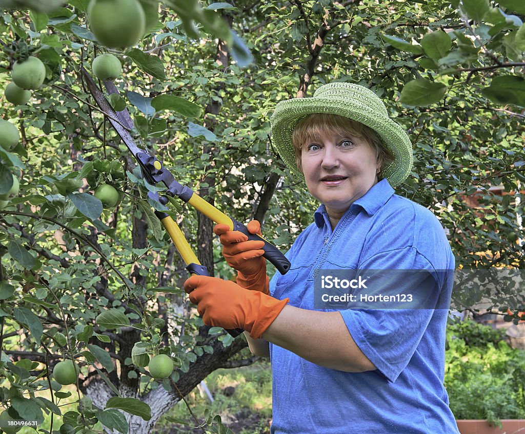 Senior donna che lavora In giardino - Foto stock royalty-free di Adulto