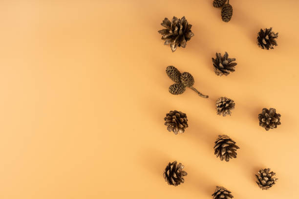 istock Christmas pine cones on yellow background, flat lay, top view, christmas background with copy space. 1804975654