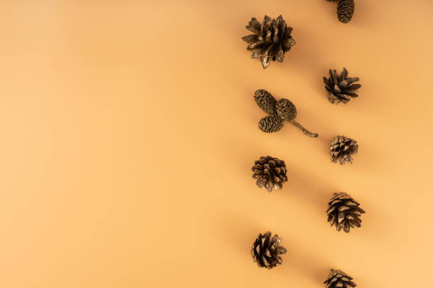 istock Christmas pine cones on yellow background, flat lay, top view, christmas background with copy space. 1804975661
