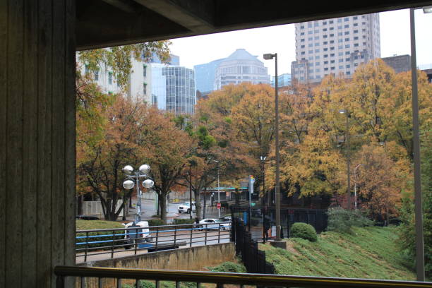 istock Rainy Day in the City 1805023919