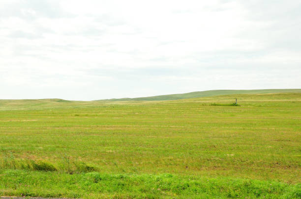 istock Huge hilly steppe with freshly cut grass under a cloudy bright summer sky. 1805035981