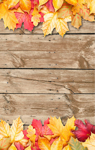 istock Autumn leaves over wooden background. Copy space. 180504103