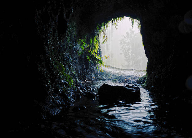 istock Nascent Marcos and Cordero Trail, La Palma 180505991