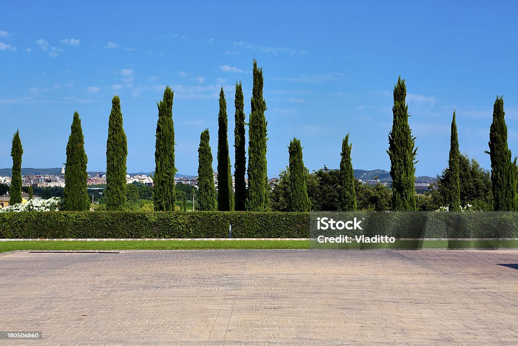cypress hedge na Europa - Foto de stock de Azul royalty-free