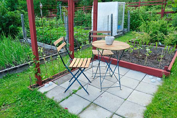 istock Organic Gardening on the Allotment 180507886