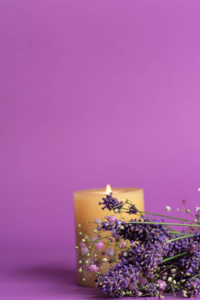 Lighted scented candle and lavender flowers on purple background. With copy space