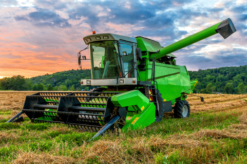 Big green combine harvester in sunset light