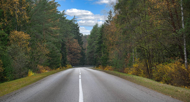 istock Two-lane asphalt road running straight a forest 1805161102