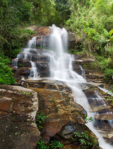 istock Waterfall and green leaves of a rainforest 180516241