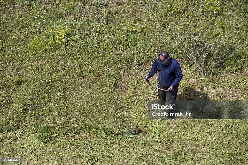Männer mit Rasenmäher Titanbesatz Gras im Feld - Lizenzfrei Agrarbetrieb Stock-Foto