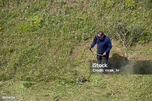 Männer Mit Rasenmäher Titanbesatz Gras Im Feld Stockfoto und mehr Bilder von Agrarbetrieb - Agrarbetrieb, Arbeiter, Ausrüstung und Geräte