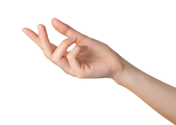 istock Clipping path, woman hand touching or pointing on isolated white background. 1805173028