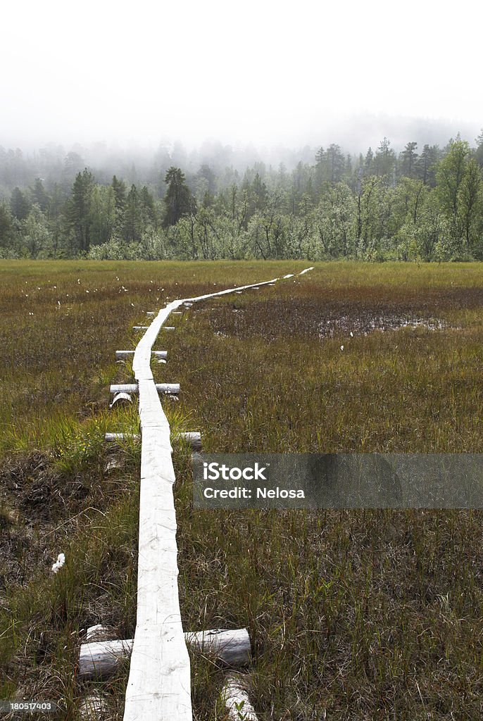 Walkingpath o Moor - Foto de stock de Assustador royalty-free