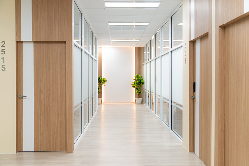 Empty modern office bright corridor with glass wall. Hall way. Ornamented.
