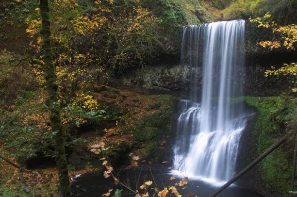 istock Waterfall surrounded by autumn foliage 1805176601