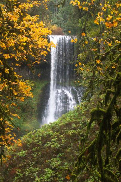 istock Huge waterfall seen through trees in autumn 1805178154