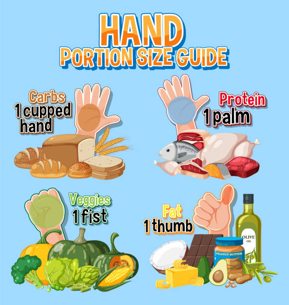 Portion Examples 30+ Hand Food Portion Guide Stock Illustrations, Royalty-Free Vector ...