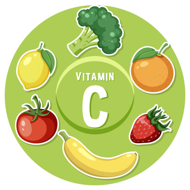 ilustraciones, imágenes clip art, dibujos animados e iconos de stock de póster educativo: alimentos que contienen vitamina c en ilustración vectorial - vegetable vitamin a tomato vitamin c