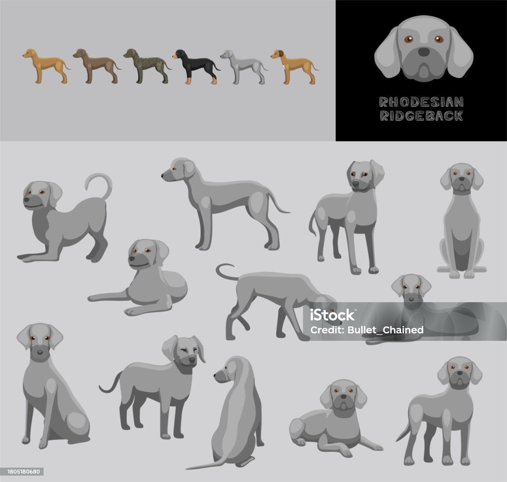 Rhodesian Ridgeback Variations Chien Rhodesian Ridgeback Blue Coat Cartoon Vector Illustration Color ...