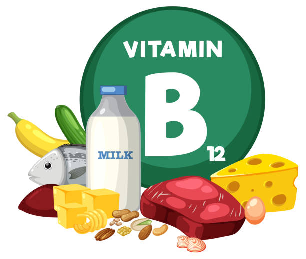 Groupe d’aliments : Fruits et légumes contenant de la vitamine B12 - Illustration vectorielle