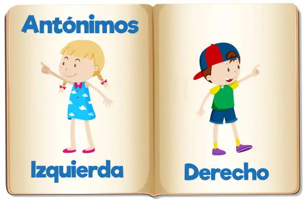 Vector illustration of Antonym Word Card: Izquierda and Derecho in Spanish means left and right