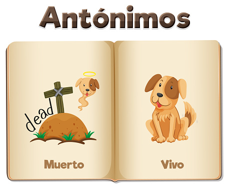 A vibrant vector illustration showcasing the Spanish words 'Muerto' and 'Vivo' on a word card