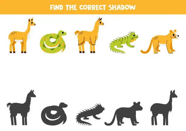 Vector illustration of Find shadows of cute south American animals. Educational logical game for kids.