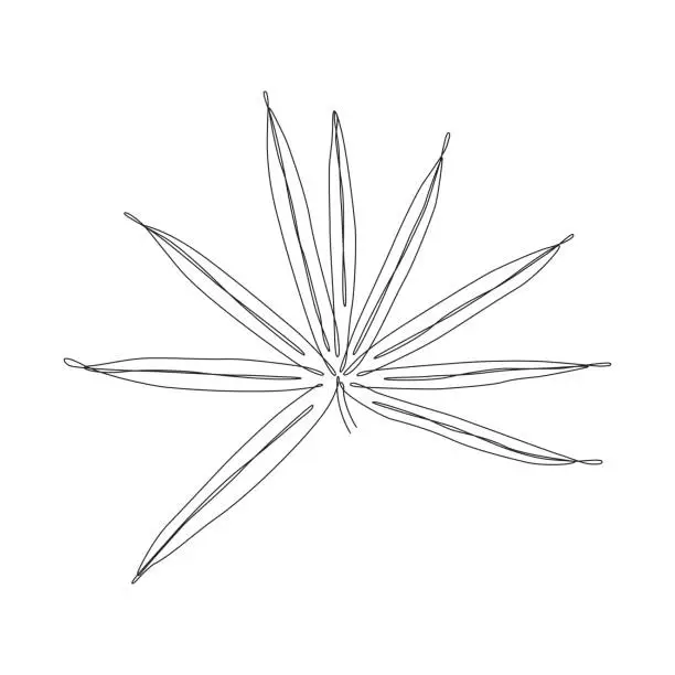 Vector illustration of Fan Palm Leaf, Palmetto Leaf Continuous Line Drawing with Editable Stroke