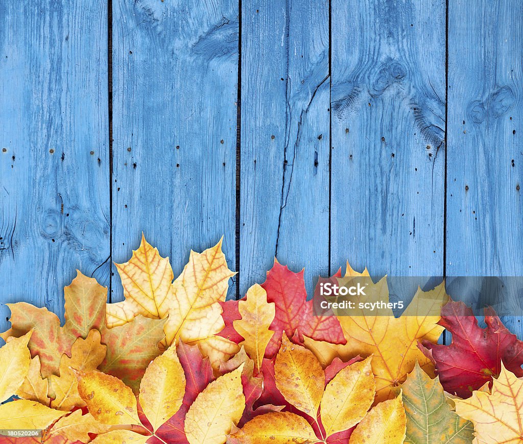 Herbst Blätter über hölzerne Hintergrund. Textfreiraum. - Lizenzfrei Thanksgiving Stock-Foto