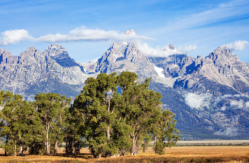 Early morning landscape of Jackson Valley, trees and the Grand Tetons Range in Grand Teton National Park Wyoming.