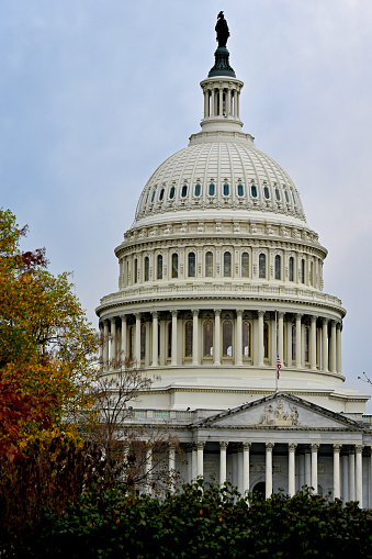 Washington, D.C., USA - November 20, 2023: The United States Capitol building framed by trees with colorful leaves on a late, overcast fall afternoon.