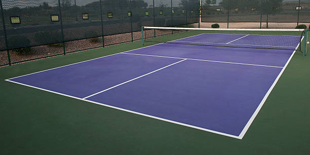 istock Pickleball Court 180522188