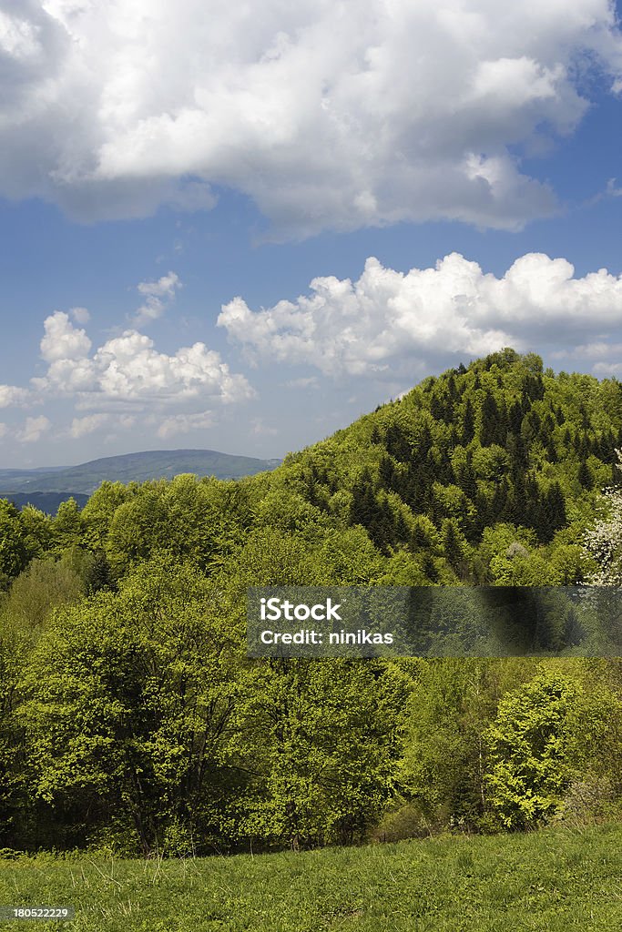 Горный пейзаж в мае. Beskid, Польша. - Стоковые фото Без людей роялти-фри