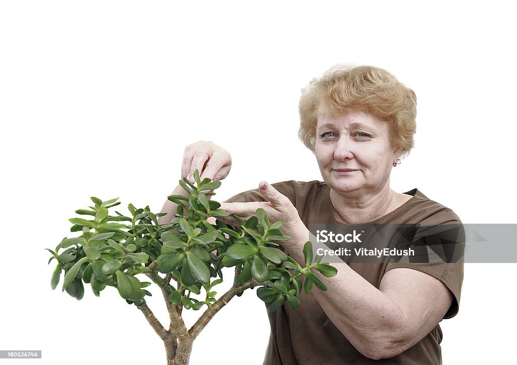 Mujer Senior Toallitas follaje en una planta. Aislado - Foto de stock de Abuela libre de derechos