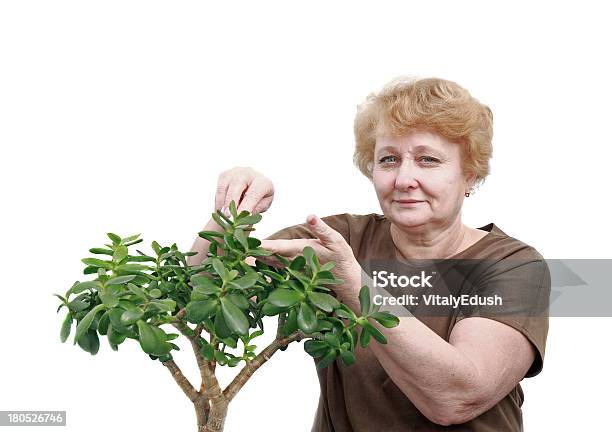 Mujer Senior Toallitas Follaje En Una Planta Aislado Foto de stock y más banco de imágenes de Abuela