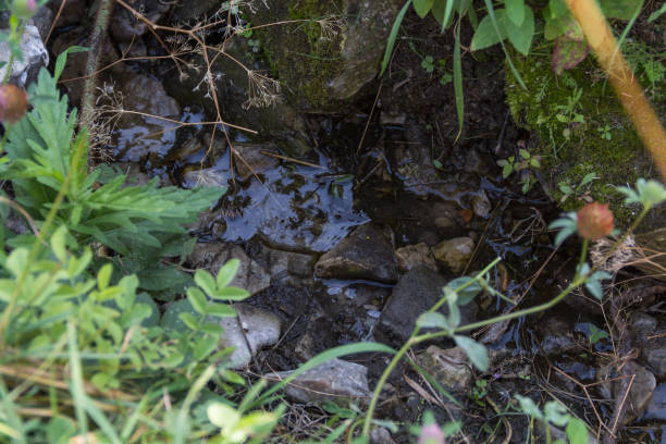 istock Spring water high in the mountains 1805275599
